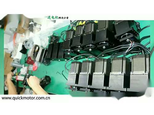 貫通式滾珠絲桿步進(jìn)電機(jī)